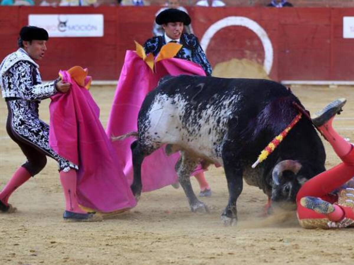 Mundo taurino imputará cargos para quienes se burlen de la muerte del torero Víctor Barrio