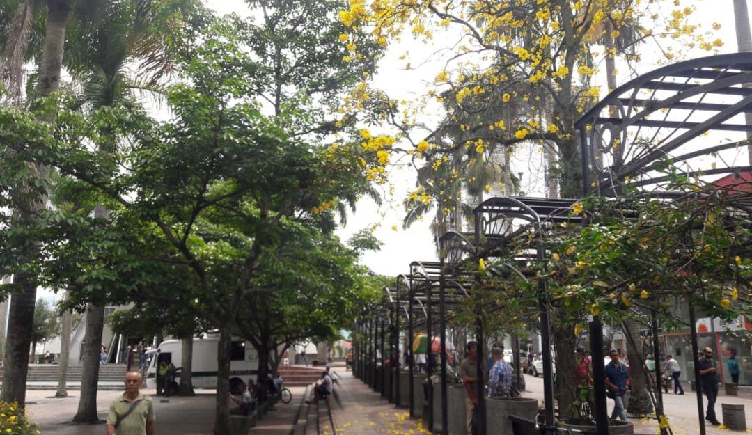 Facebook Caracol radio Armenia 1150am Tw @caracolRArmenia línea WhatsApp 3155681277