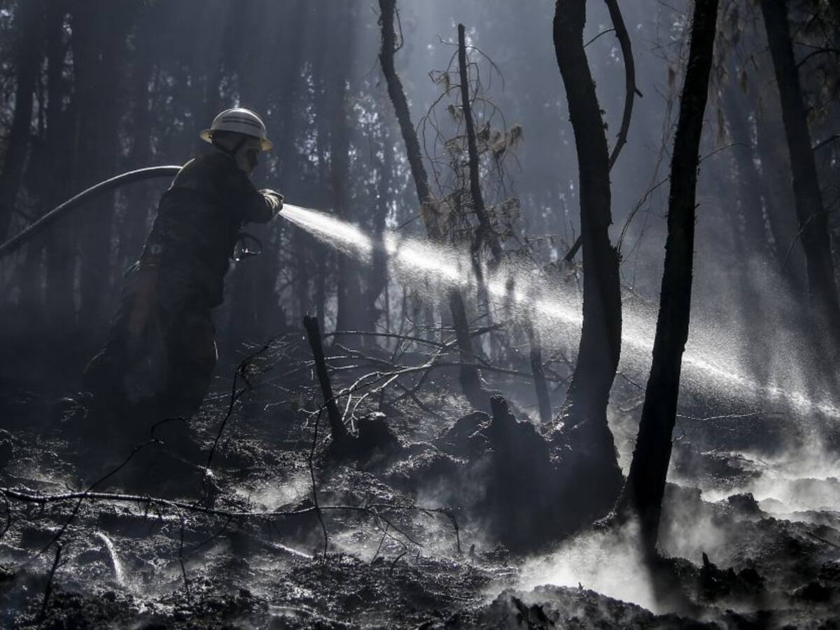 Crean brigada para proteger los cerros orientales