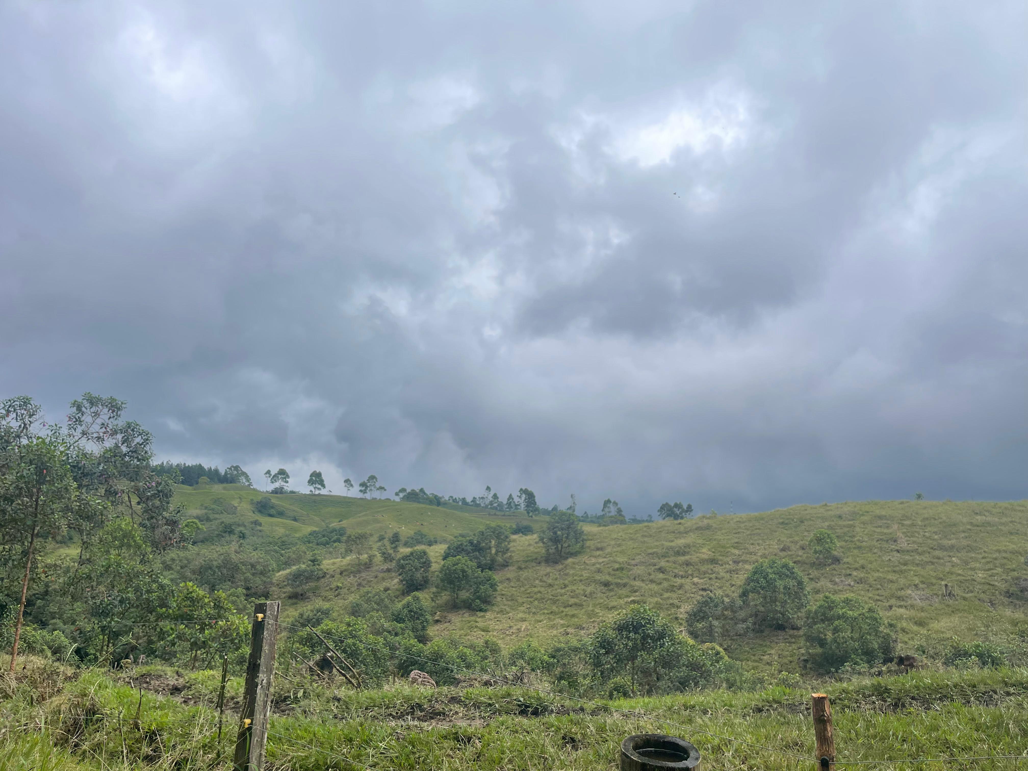 Paisaje en zona rural de Filandia- Juan Pablo González