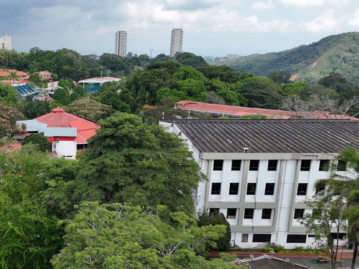 ¡Últimos días! Universidad del Tolima abre convocatoria de trabajo para docentes de planta
