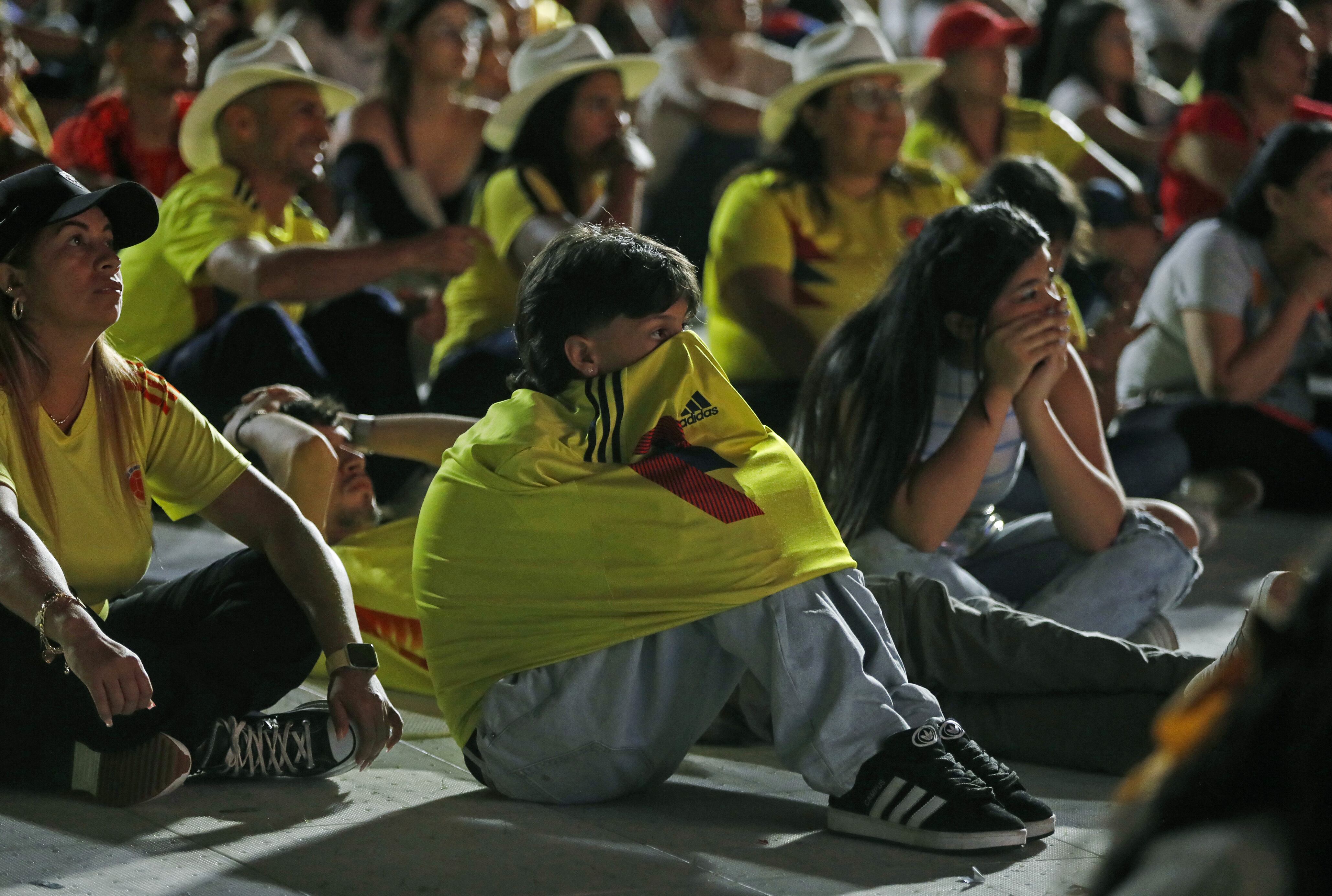 Hinchas se lamentan tras la derrota de la selección Colombia durante la final de la Copa América entre Colombia y Argentina - EFE/ Luis Eduardo Noriega Arboleda