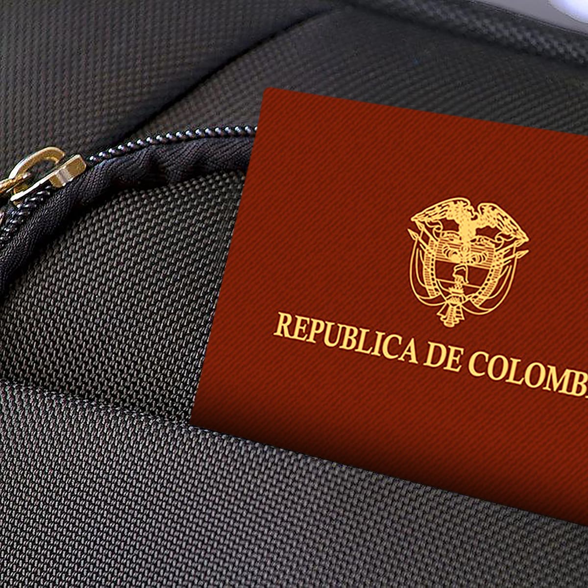 ¿Cuánto cuesta el pasaporte en Pereira 2024? Así es la solicitud; siga el paso a paso