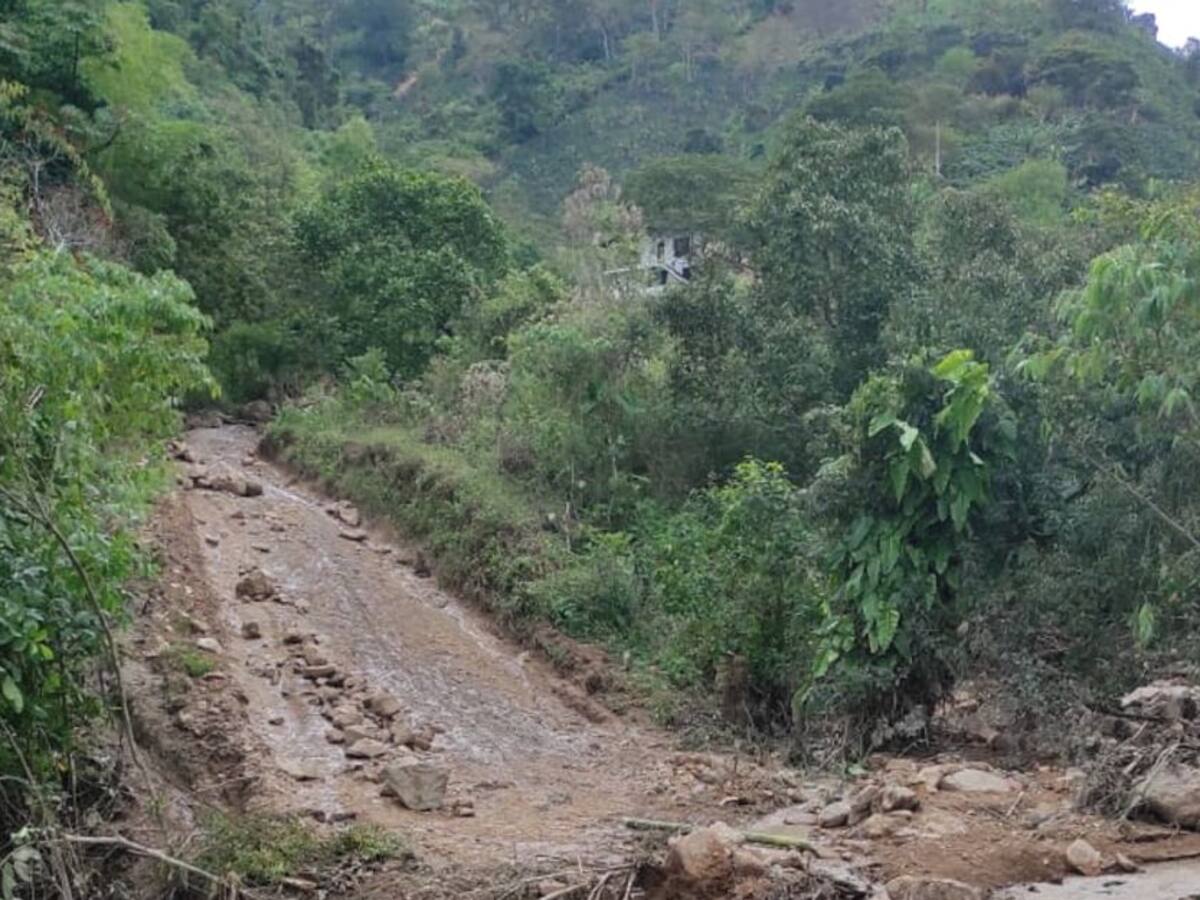 Más de mil millones de pérdidas dejan el invierno en Pitalito, Huila