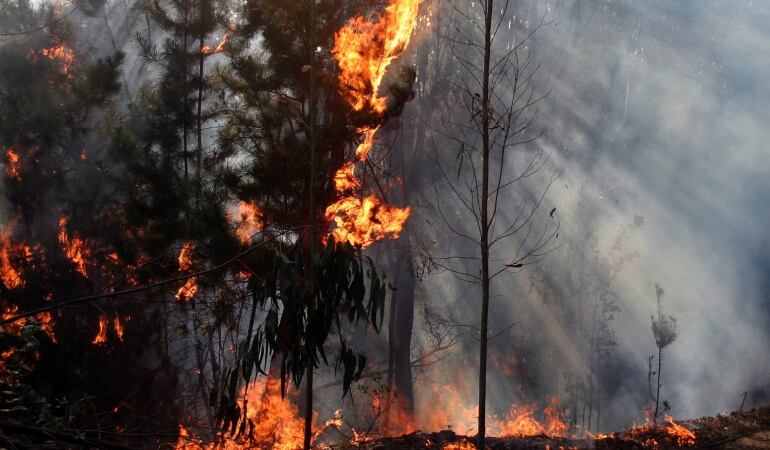 El número de incendios activos en el país se elevó a 39, que afectan ocho departamentos.