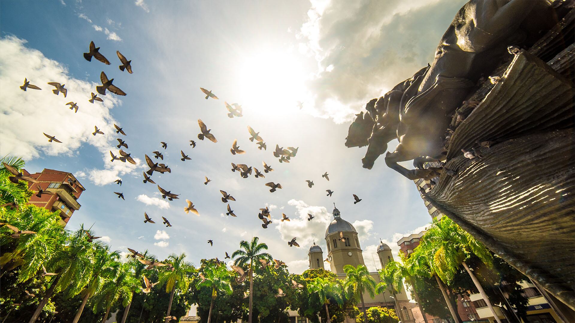 Imagen de archivo - Cotelco capítulo Risaralda.