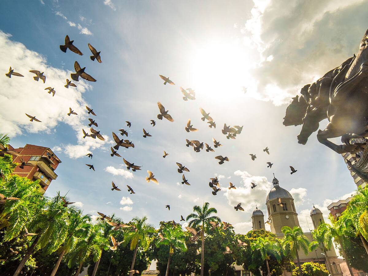 Sector hotelero está superando las expectativas de ocupación con los Juegos Nacionales