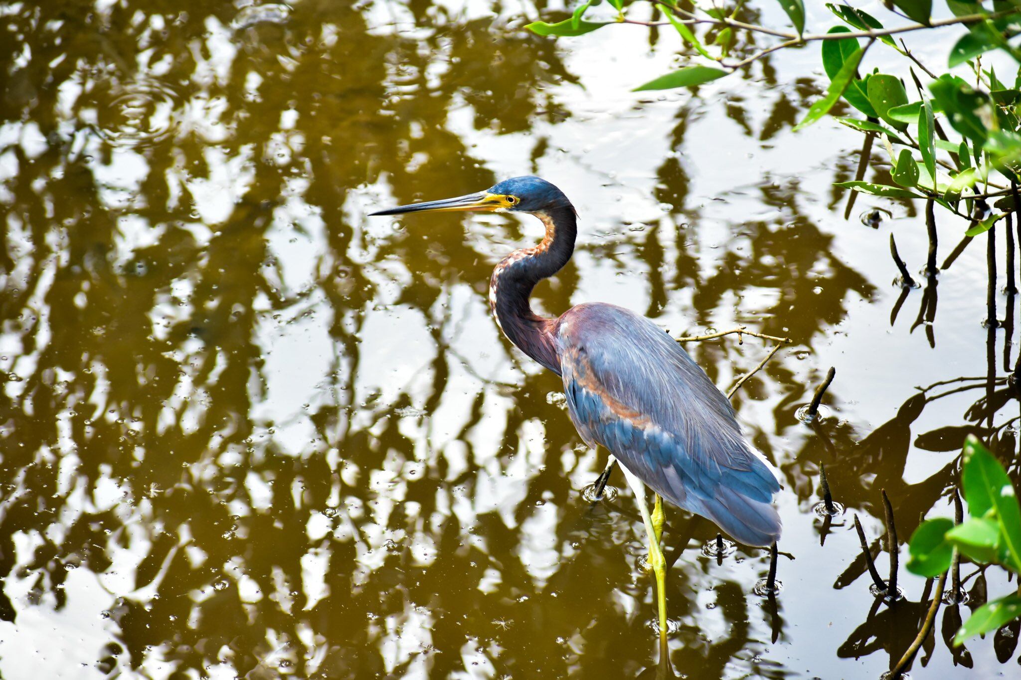 Cortesía: Alcaldía de Barranquilla.
