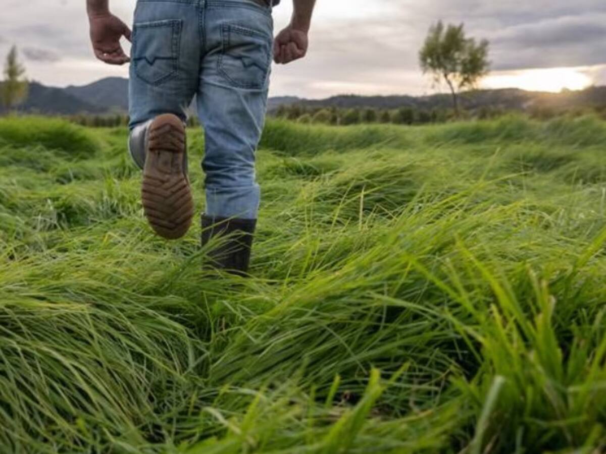 Córdoba cuenta con 1.532 solicitudes de tierras pendientes de finalizar