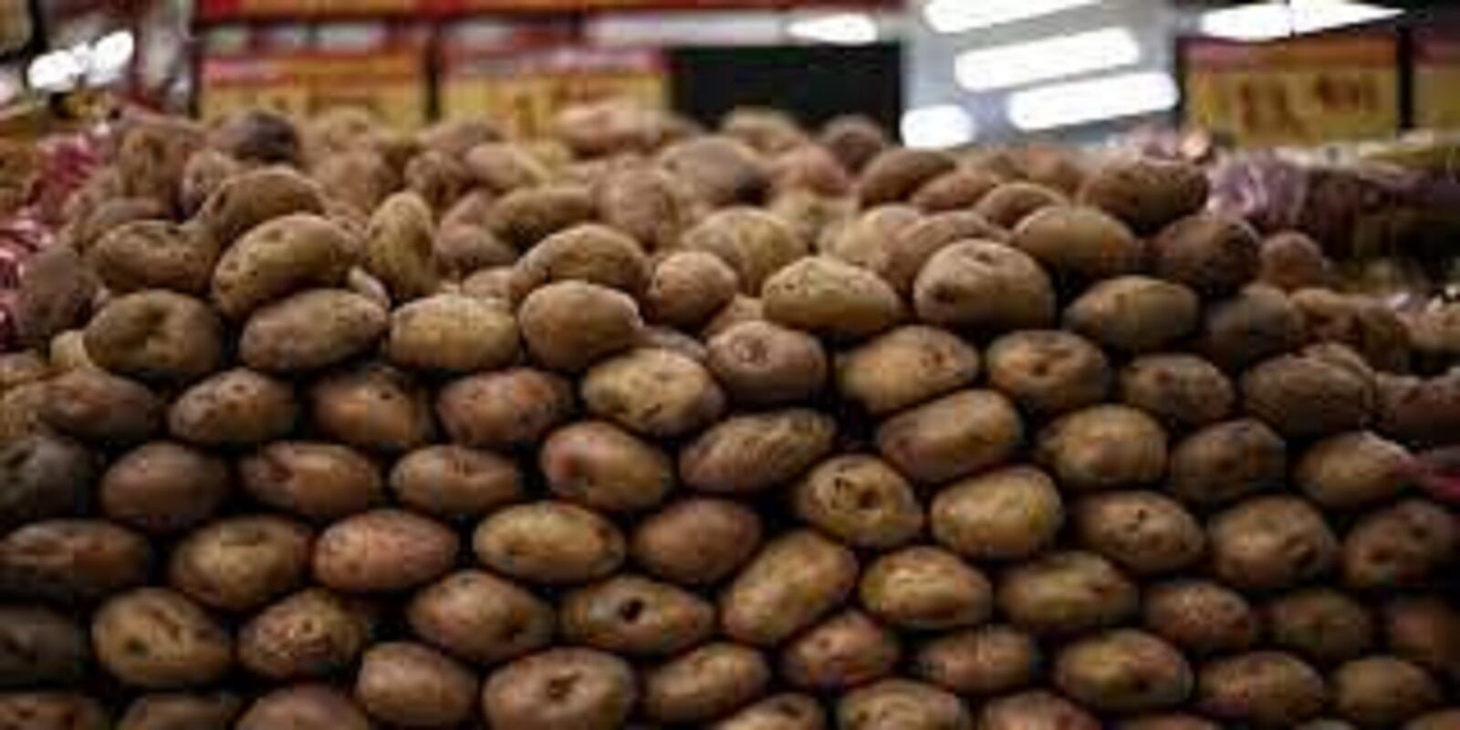 Alto costo de los insumos y el invierno afecta a los papicultores del Tolima