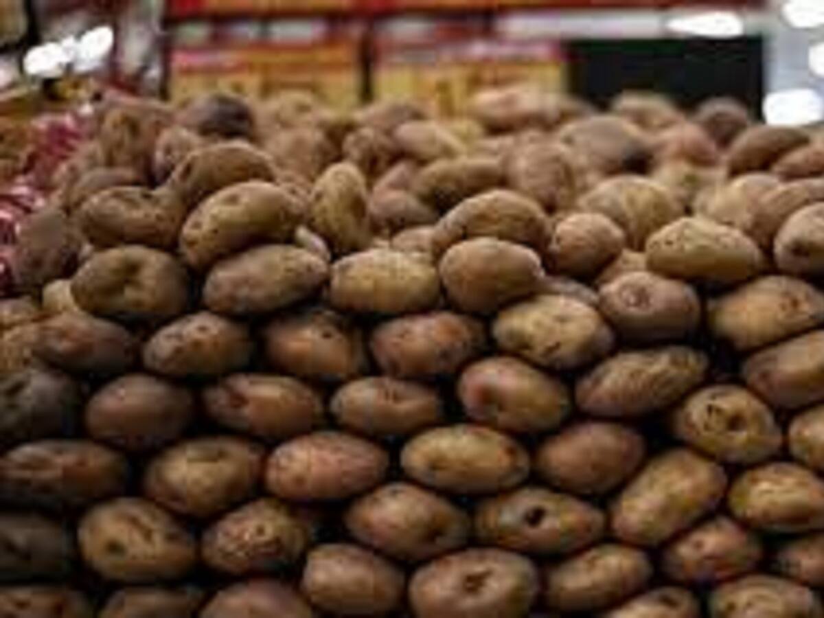 Alza de los insumos y la ola invernal afecta a los papicultores del Tolima
