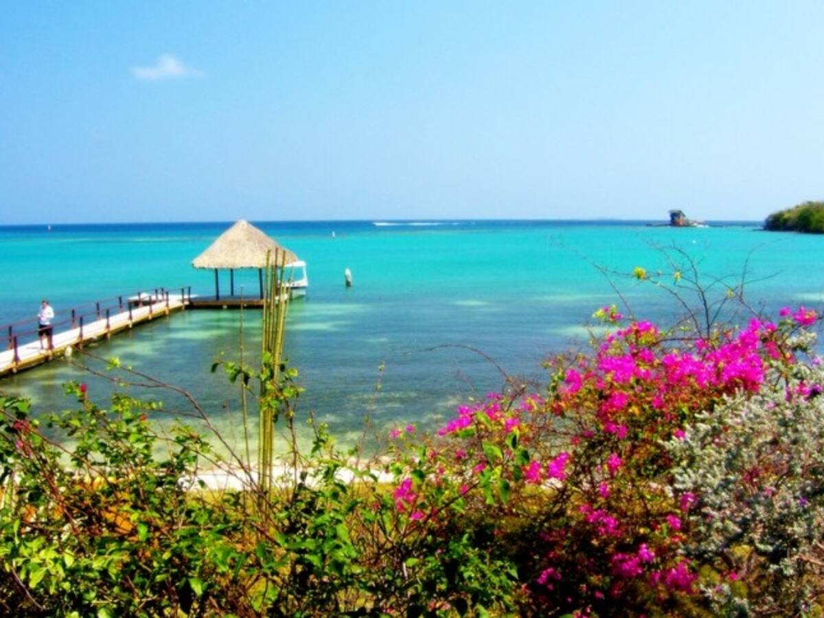 Procuraduría alertó sobre deterioro de pasarelas de madera en Parque Nacional ‘Corales del Rosario’