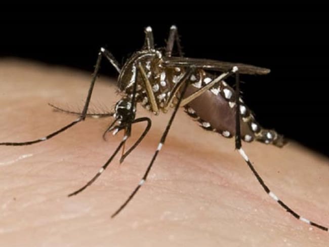 Confirman muerte de niño en Bucaramanga por dengue