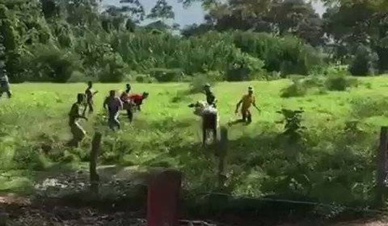 Saqueos en finca.