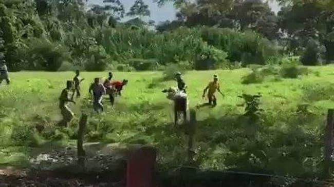Saqueos en finca.