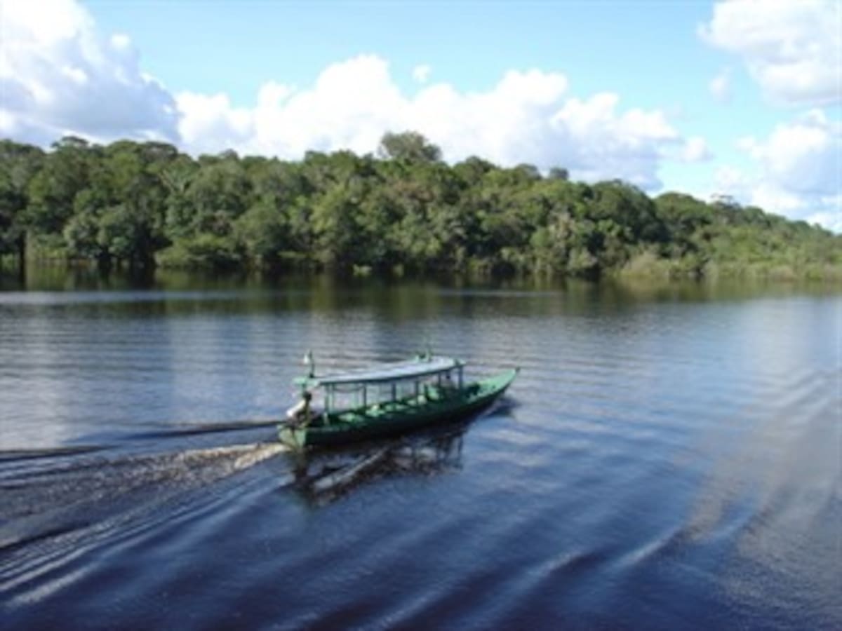 Rousseff presenta en el Amazonas un subsidio para evitar deforestación