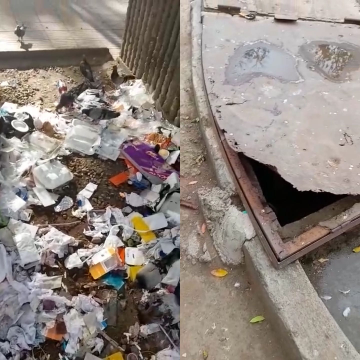 Preocupación por mal estado del Parque Santander