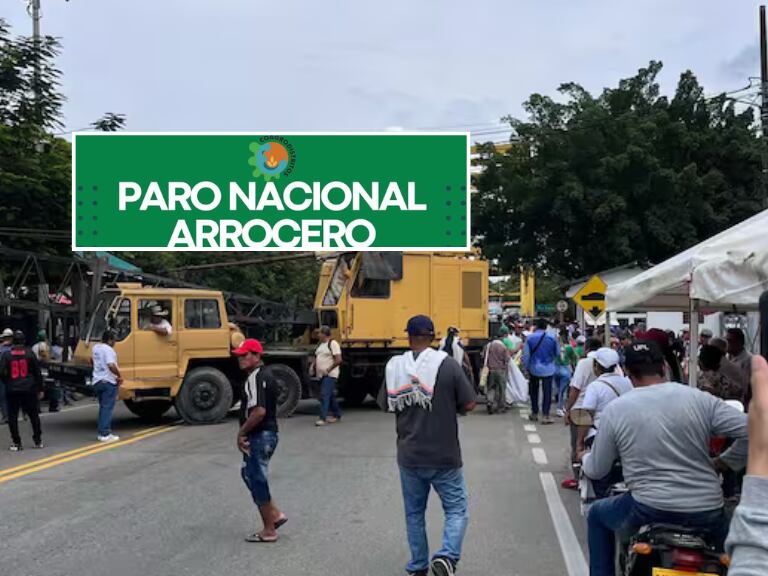 Paro Arrocero en Tolima: ¿Cuáles son los puntos de concentración y los reclamos de los productores?