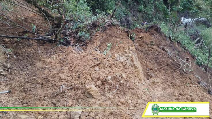 Docente del municipio de Génova