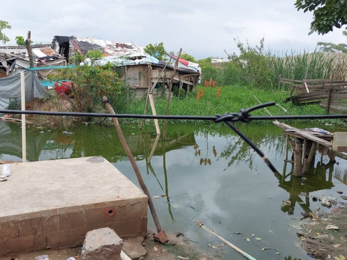 Con babillas, así habitan más de 100 personas en Mesolandia, Malambo
