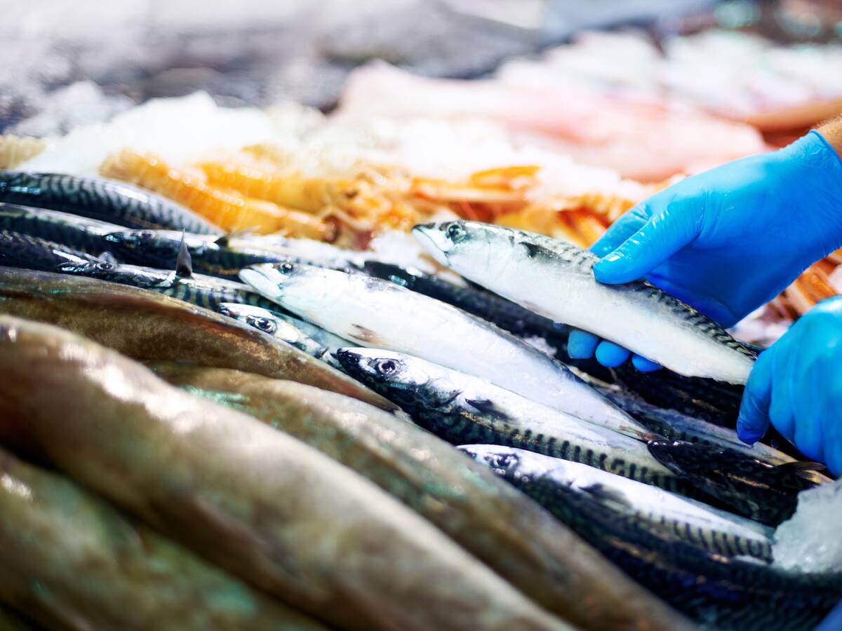 Trucos para comprar pescado fresco en Semana Santa: Ojos brillantes son clave