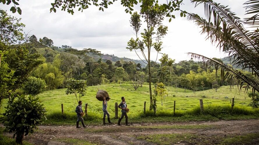 Zonas rurales y de conflicto en Colombia. Foto: Getty Images