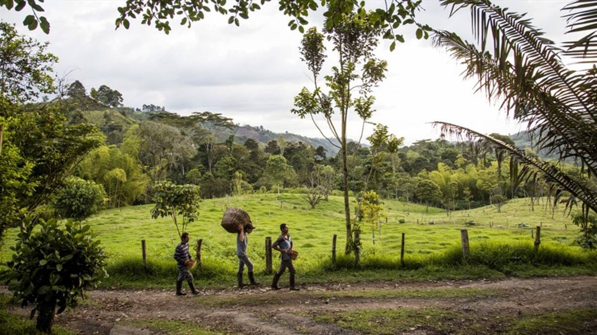 Instituto Kroc publicó séptimo informe sobre implementación del Acuerdo de Paz en Colombia