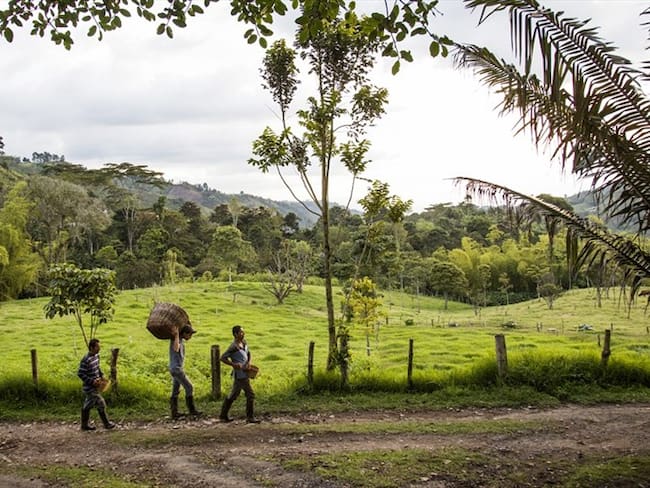 Zonas rurales y de conflicto en Colombia. Foto: Getty Images