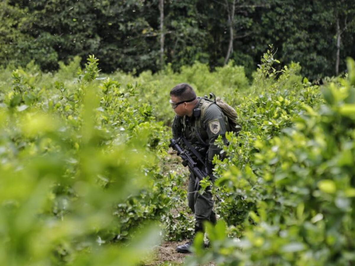 Un muerto y un herido durante operativo a cultivos ilícitos en Jamundí