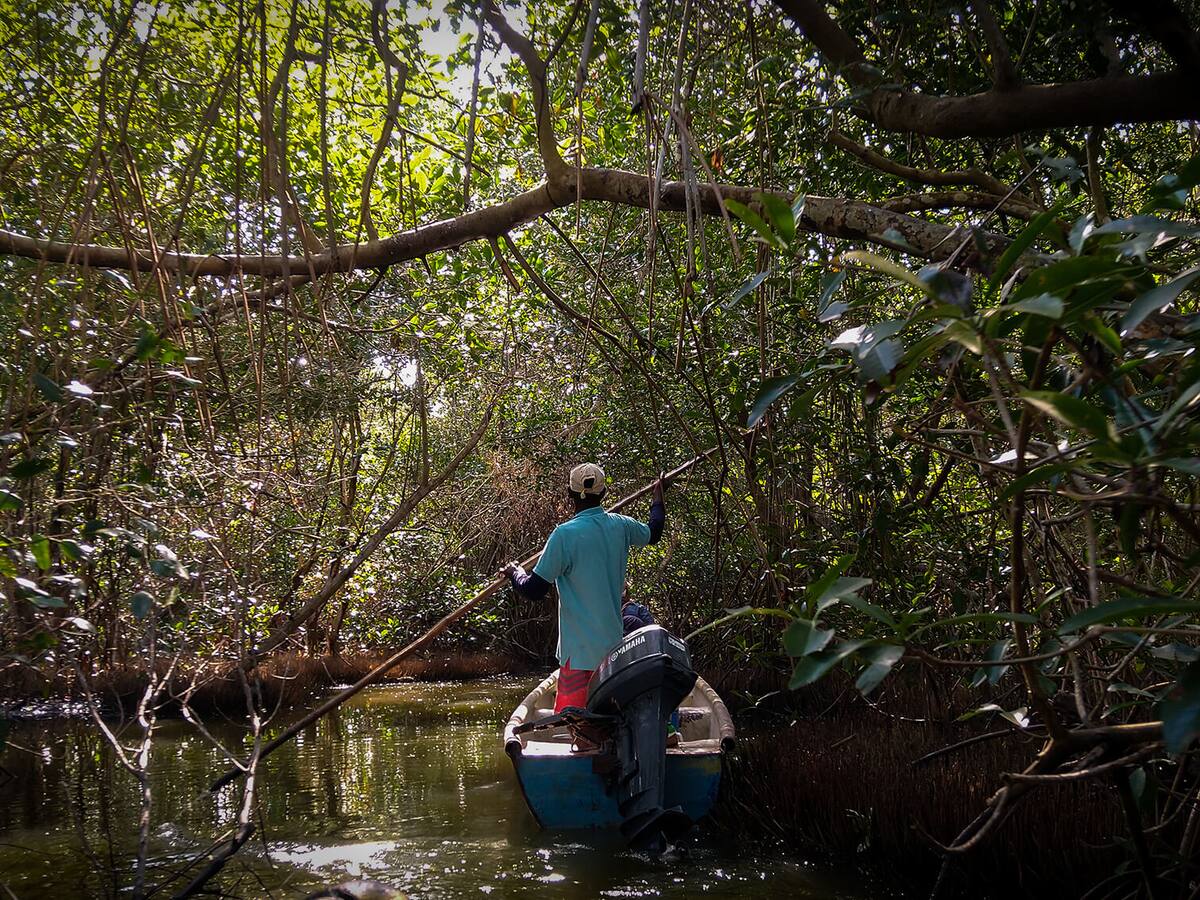 ¿Defender el ambiente puede costar la vida? Colombia lidera una preocupante lista