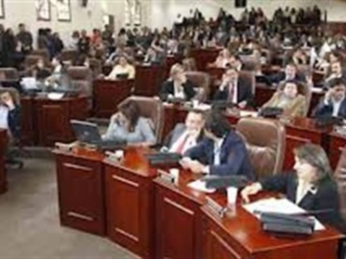 Concejales de acuerdo con la realización de un debate sobre el 'Carrusel de la contración'