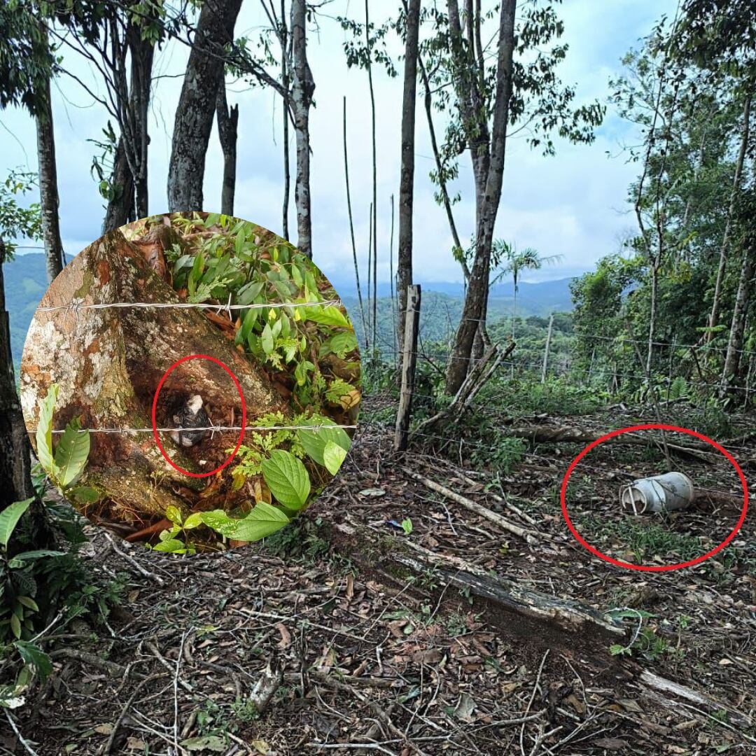 Explosivos destruidos en zona rural de Anorí- fotos Brigada 14