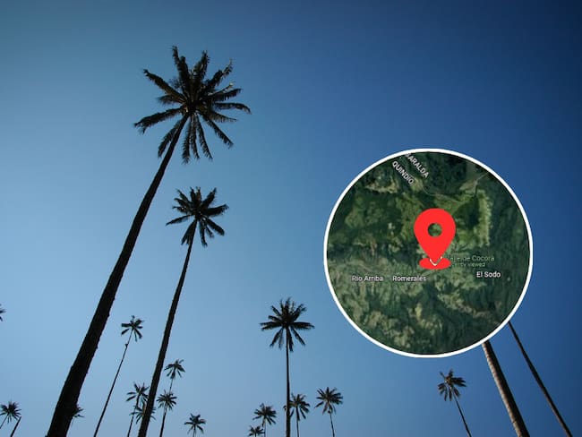 Altas palmas de cera / Ubicación de la palma de cera más alta del mundo (Getty Images)