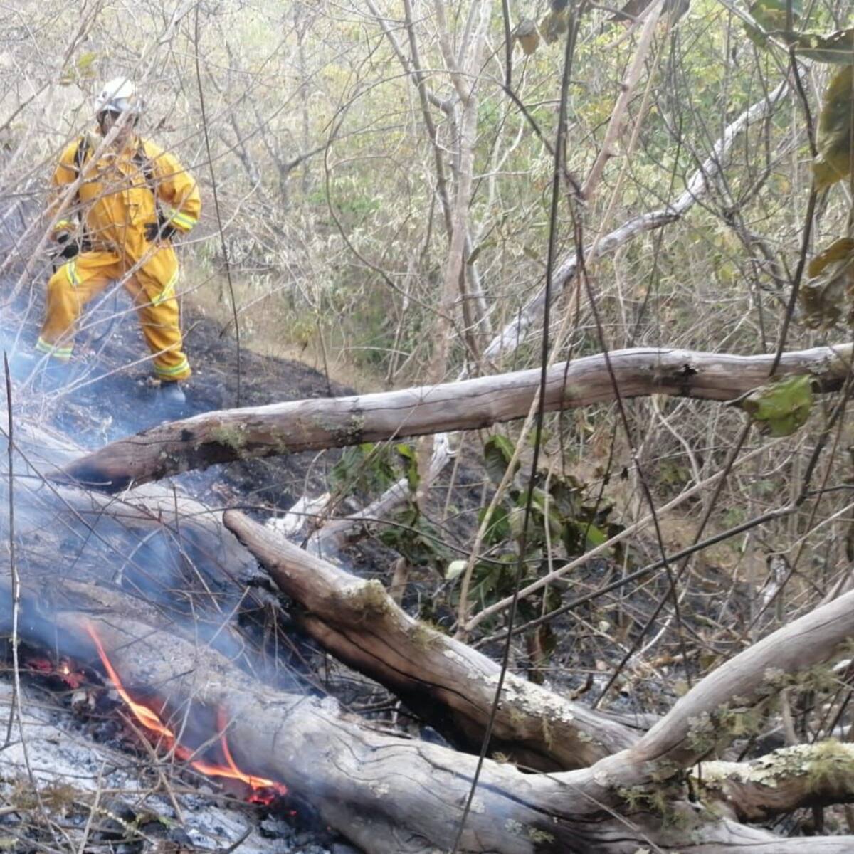Hay alerta roja en catorce municipios antioqueños por incendios forestales