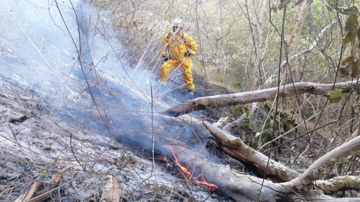 Más de 190 incendios se han registrado en Atlántico durante este año