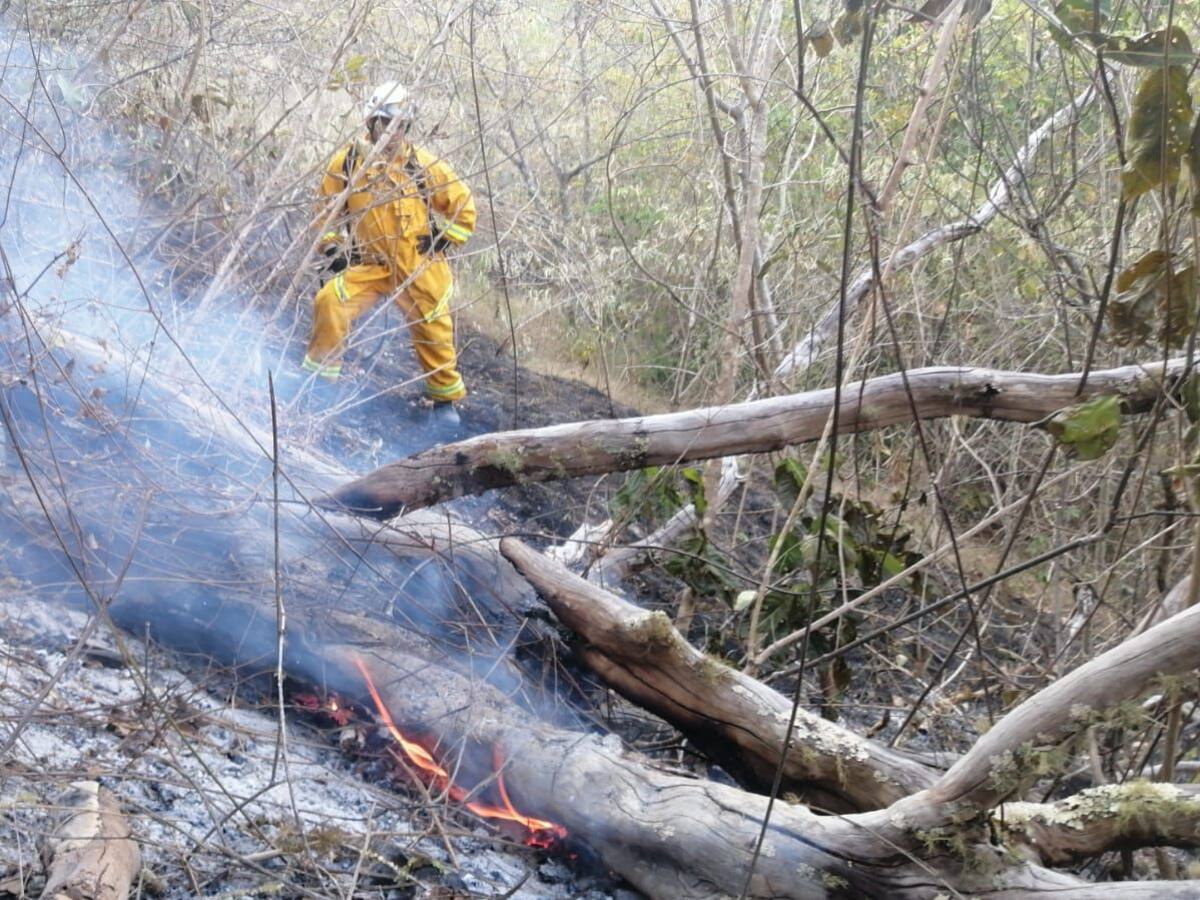 Hay alerta roja en catorce municipios antioqueños por incendios forestales