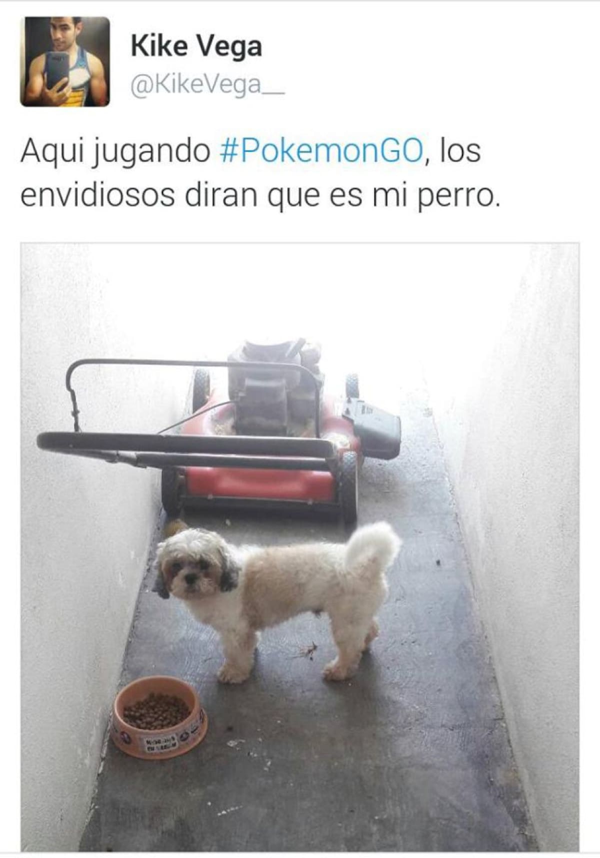 Algunos sin necesidad de descargar la App, ya atraparon sus "Pokémons"