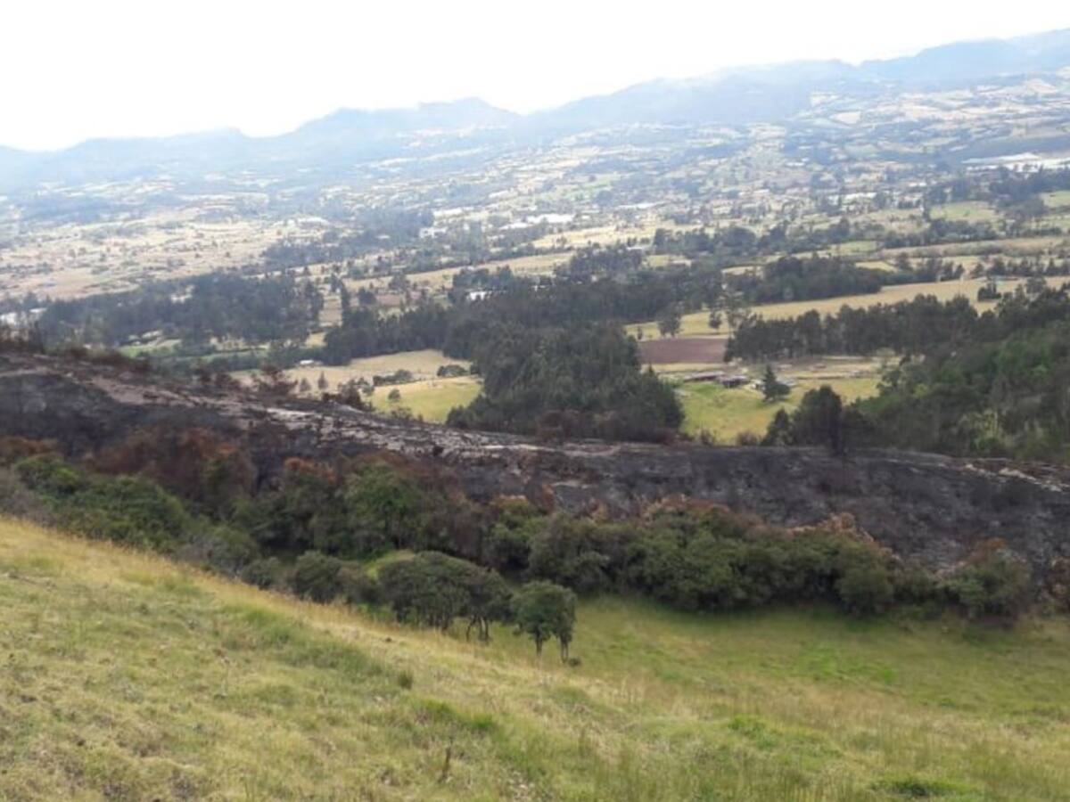 Liquidado incendio forestal provocado por operativo antinarcóticos