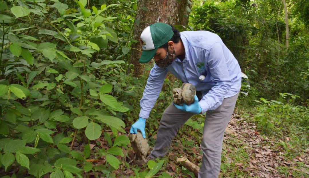 Liberación de fauna silvestre