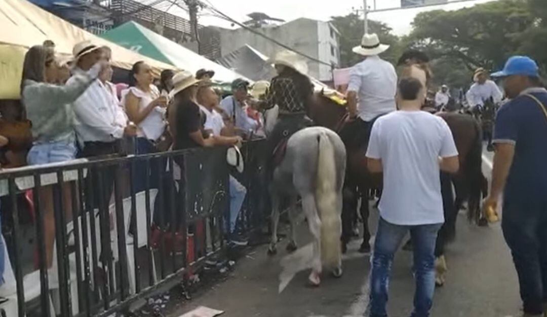 Cabalgata sanjuanera Ibagué 