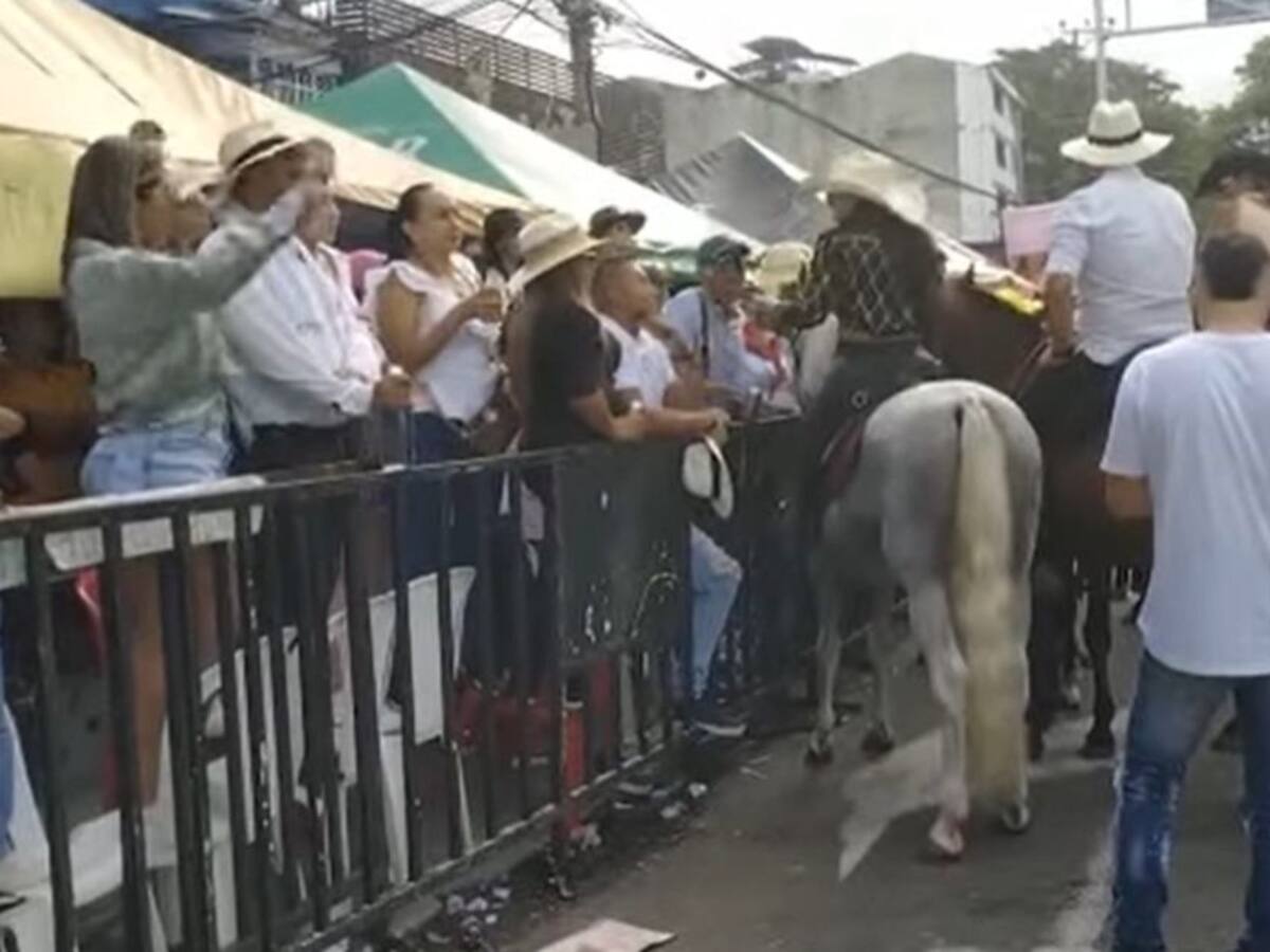 La Alcaldía de Ibagué confirma que no autorizará más cabalgatas