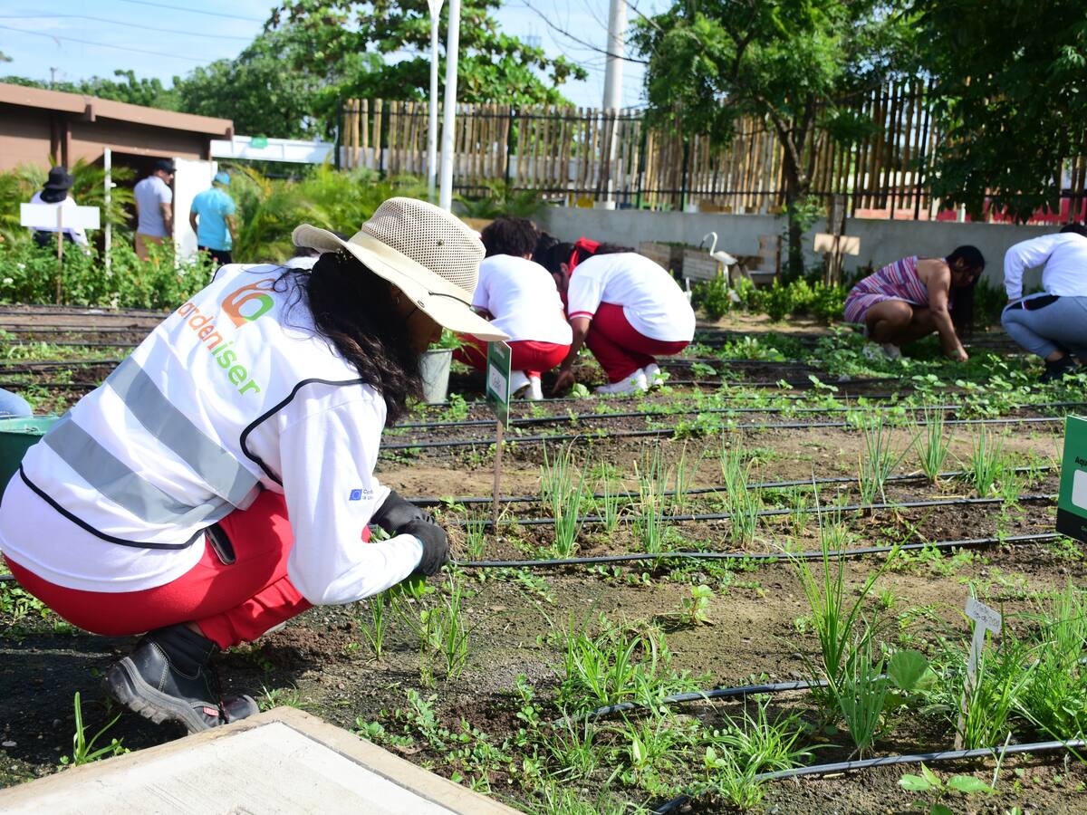 Barranquilla presentará un proyecto de huerta comunitaria en la COP16