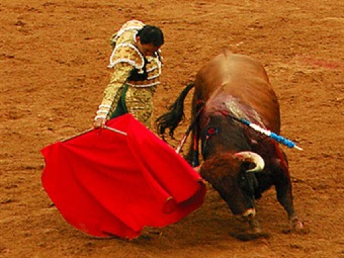 En Medellín buscarán hacer corridas de toros sin la muerte del animal