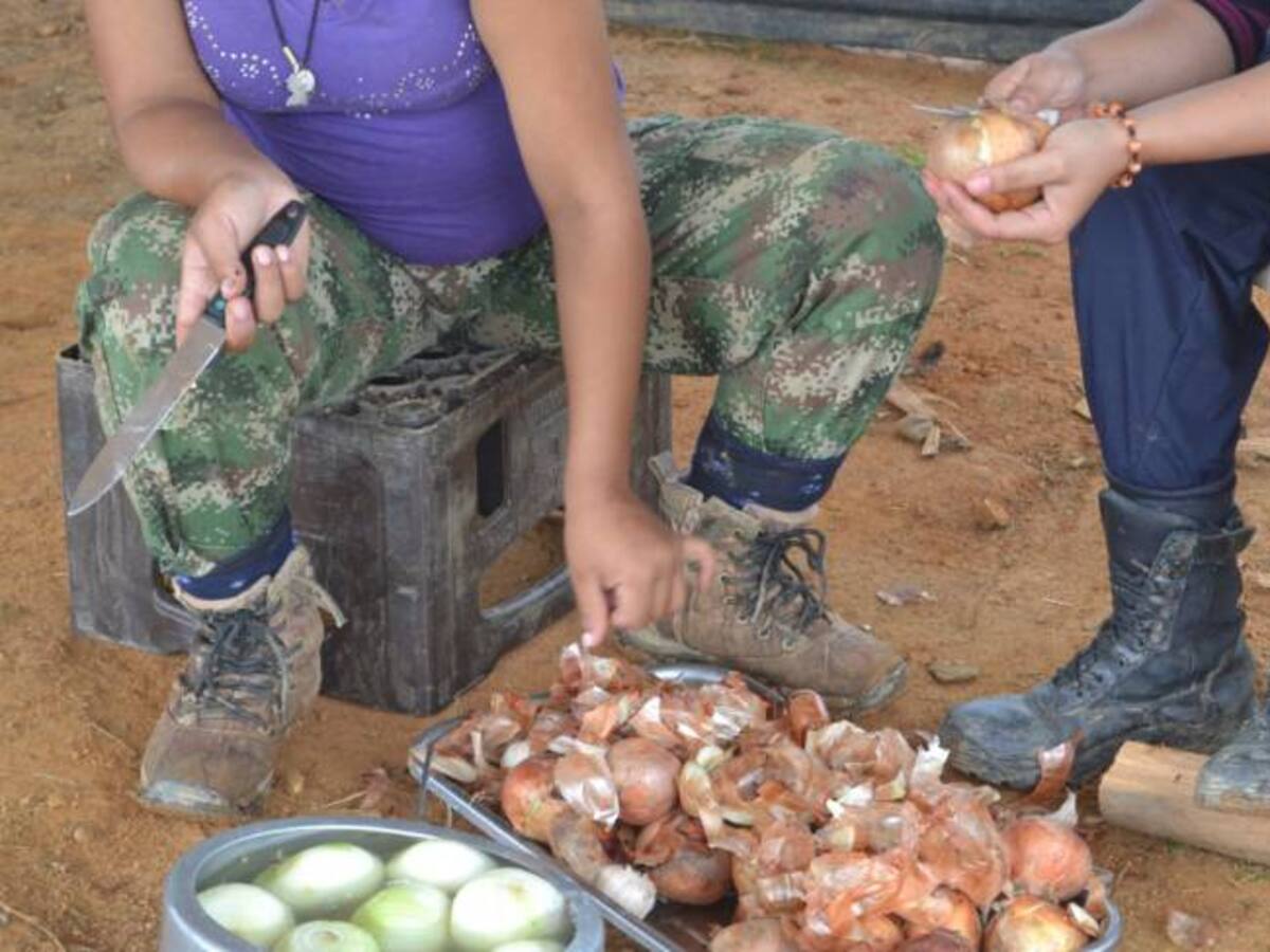 Por estrés e irregular alimentación guerrilleros de las Farc tienen quebrantos de salud