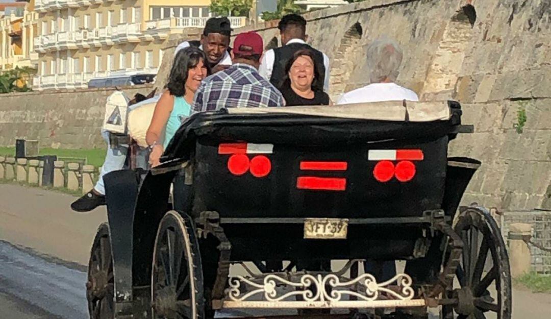 Según la Asociación Protectora de Animales, en lo corrido de la temporada vacacional son cuatro los equinos que se han desplomado en plena faena