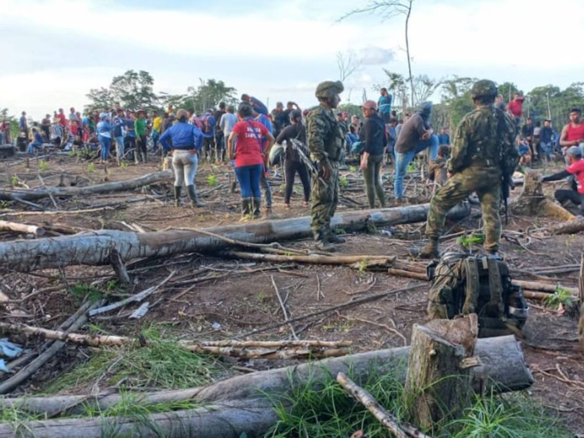 500 campesinos detuvieron erradicación de cultivos ilícitos en el Catatumbo