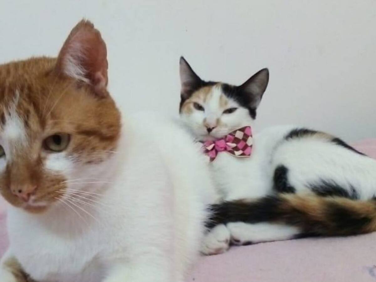 Arturito y Mei