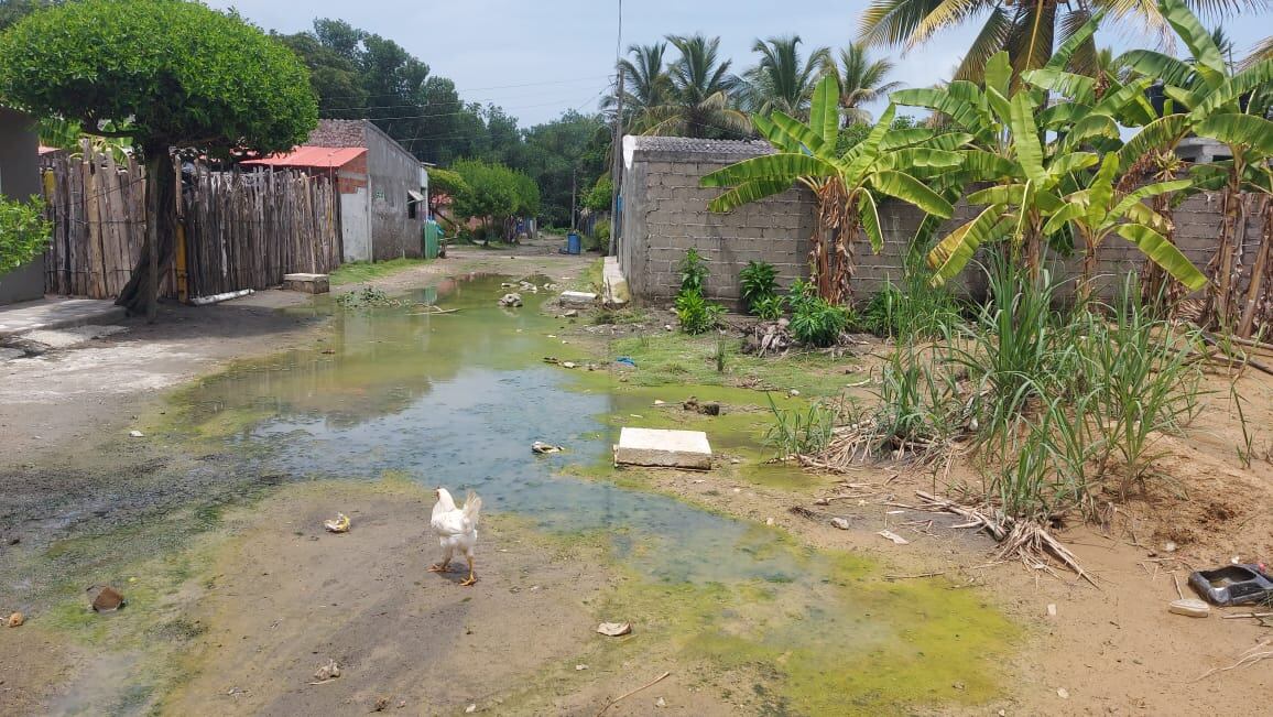 Así están algunas calles de Moñitos.