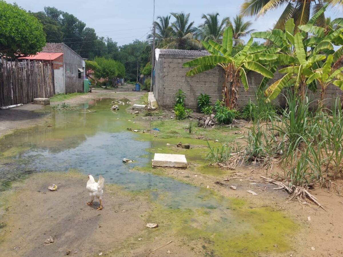 En Moñitos declaran Urgencia Manifiesta por sequía en medio de lluvias