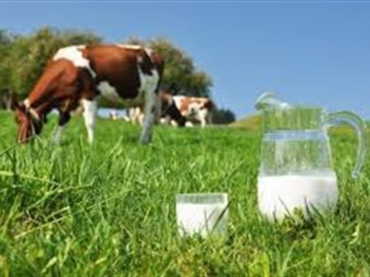 En Nariño esperan soluciones a problemas de lecheros y varios sectores del agro